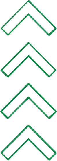 No-show-vector